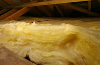 Burleigh pitch roof insulation